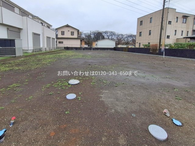 撮影日(2026-02-25 00:00:00)