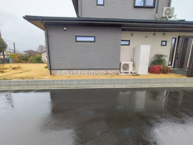 撮影日(2026-02-25 00:00:00)