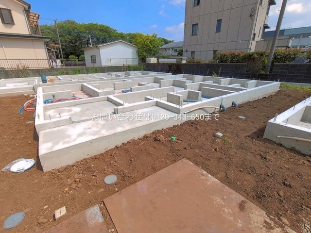 撮影日(2026-05-15 00:00:00)