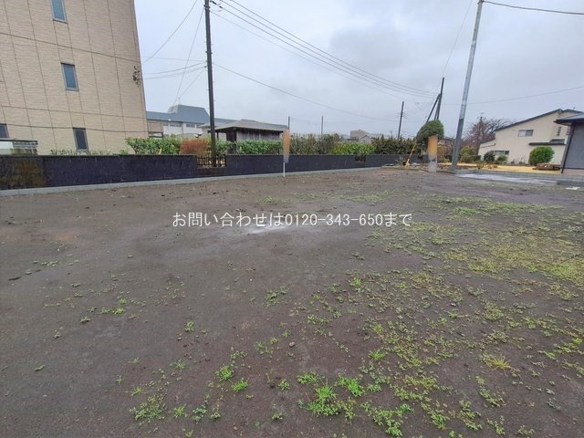 撮影日(2026-02-25 00:00:00)