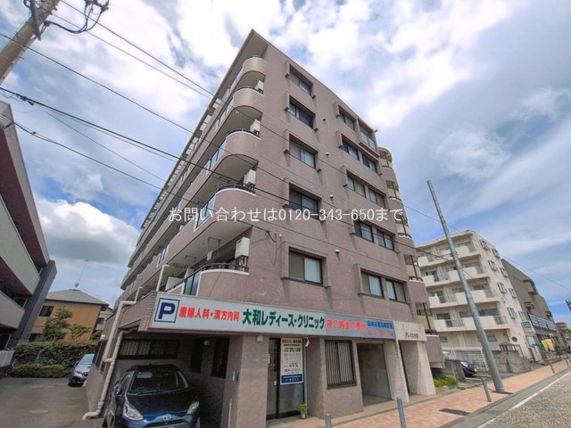 撮影日(2026-06-22 00:00:00)