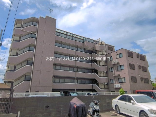 撮影日(2026-06-22 00:00:00)