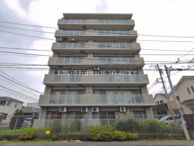 撮影日(2026-07-06 00:00:00)