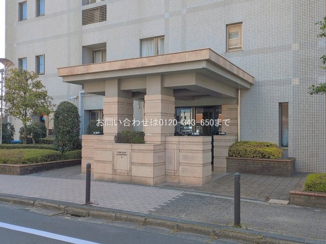 撮影日(2026-07-09 00:00:00)