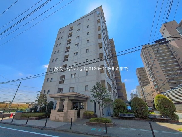 撮影日(2026-07-09 00:00:00)