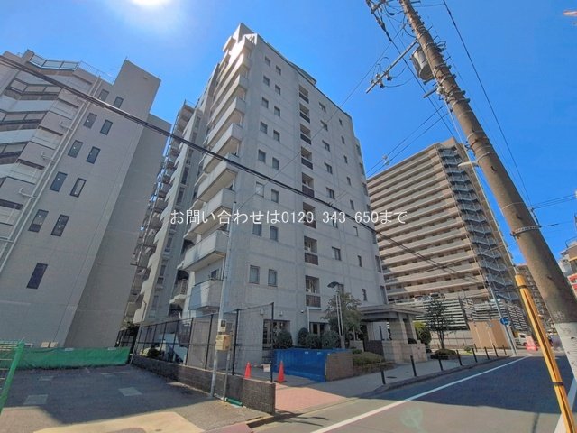 撮影日(2026-07-09 00:00:00)