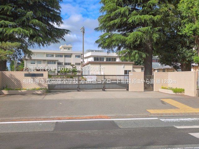 相模原市立向陽小学校 撮影日(2026-06-06) 1280m