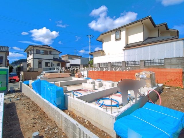 撮影日(2026-08-18 00:00:00)