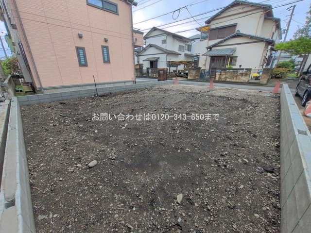 撮影日(2026-08-12 00:00:00)
