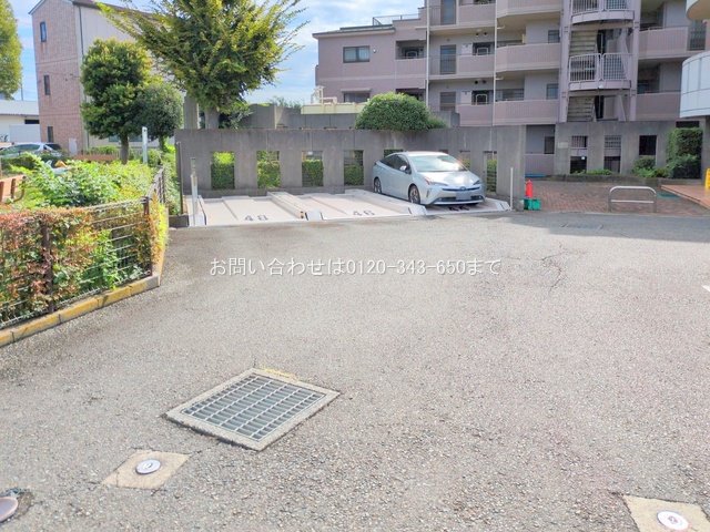 撮影日(2025-09-30 00:00:00)