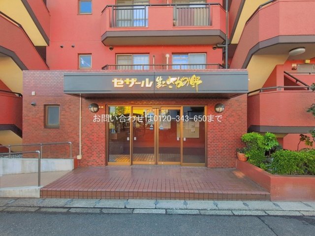 撮影日(2026-09-24 00:00:00)