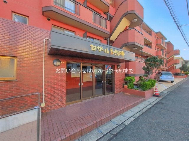 撮影日(2026-09-24 00:00:00)
