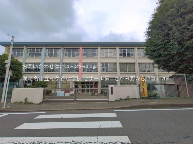 海老名市立柏ケ谷小学校 撮影日(2026-07-01) 1120m