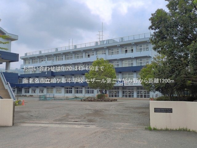 海老名市立柏ケ谷中学校 撮影日(2026-07-01) 1200m