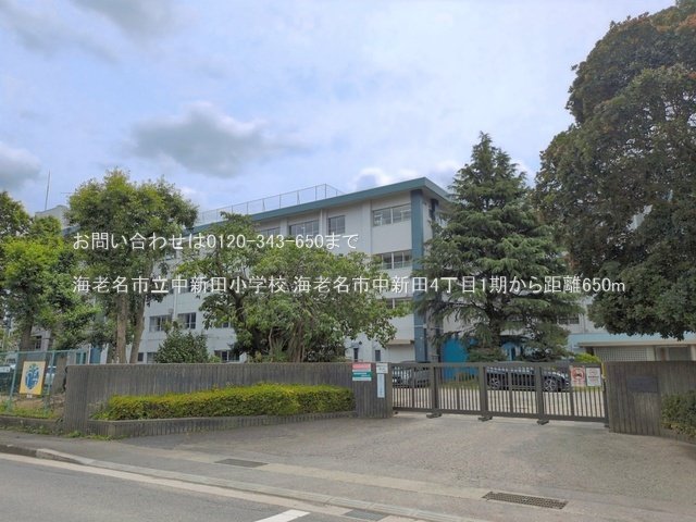 海老名市立中新田小学校 撮影日(2026-06-23) 650m