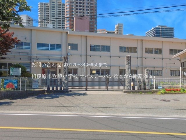 相模原市立旭小学校 撮影日(2026-06-17) 290m