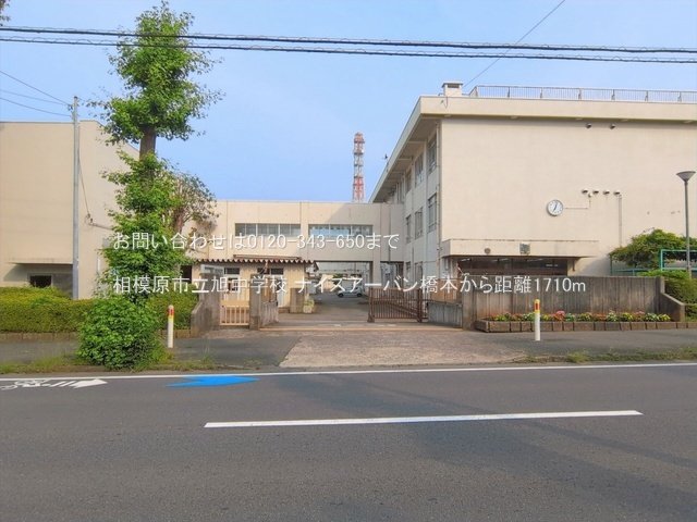 相模原市立旭中学校 撮影日(2026-07-01) 1710m