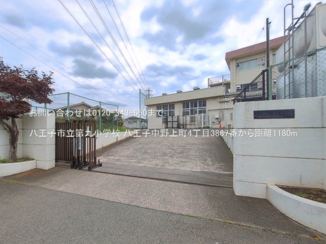 八王子市立第九小学校 撮影日(2026-06-23) 1180m