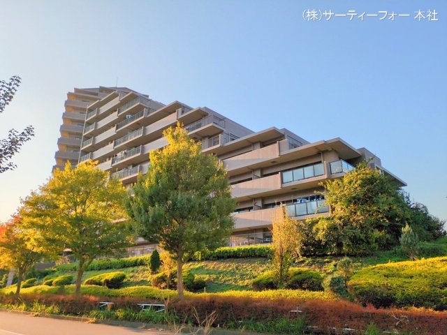 撮影日(2024-11-12 00:00:00)