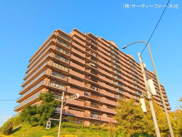 撮影日(2024-11-12 00:00:00)
