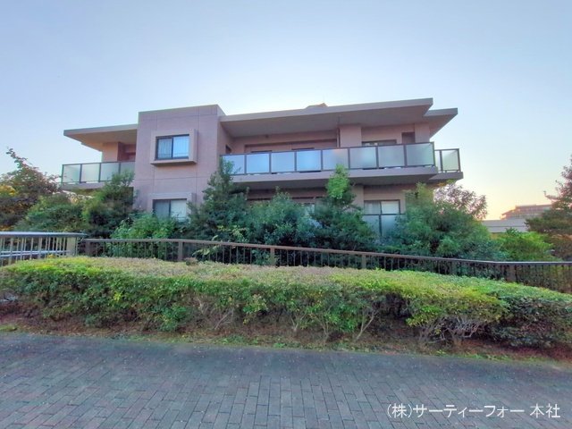 撮影日(2024-11-12 00:00:00)