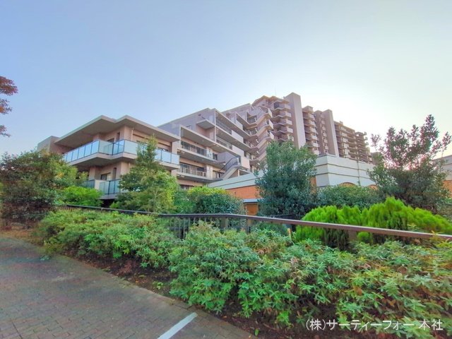 撮影日(2024-11-12 00:00:00)