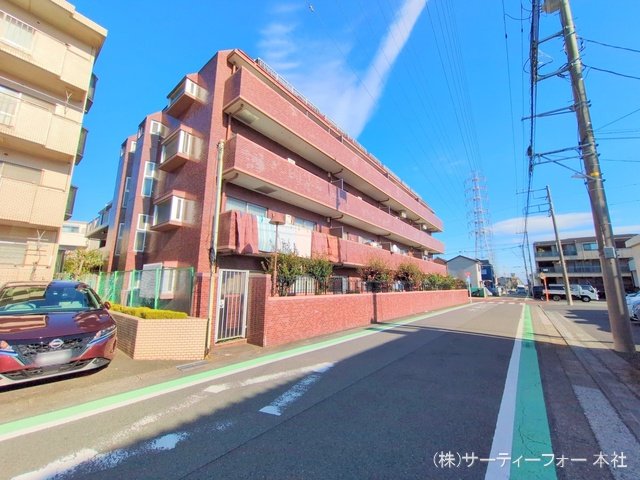 撮影日(2024-11-19 00:00:00)