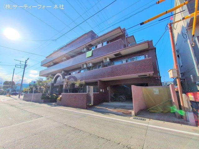撮影日(2024-11-19 00:00:00)