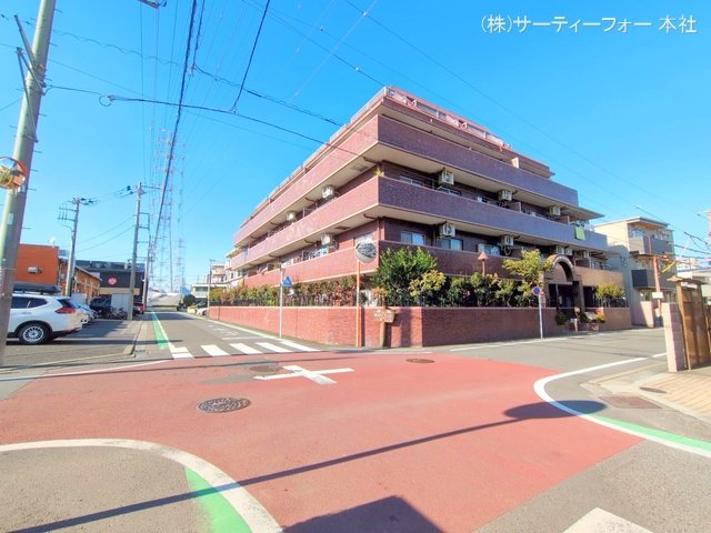 撮影日(2024-11-19 00:00:00)