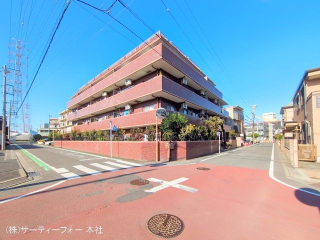 撮影日(2024-11-19 00:00:00)