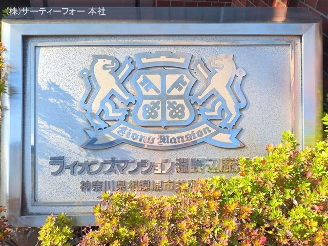 撮影日(2024-11-19 00:00:00)