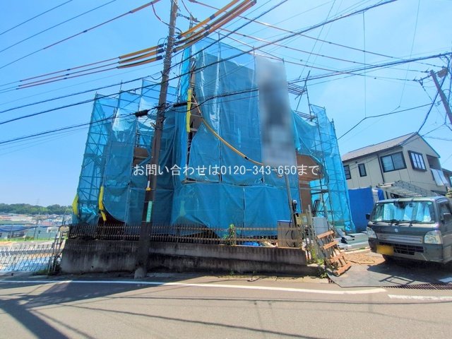 撮影日(2025-06-17 00:00:00)