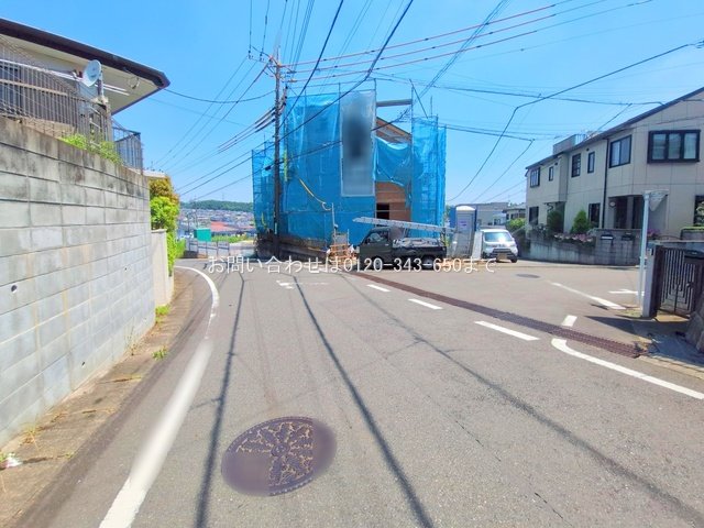 撮影日(2025-06-17 00:00:00)