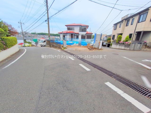 撮影日(2025-05-29 00:00:00)