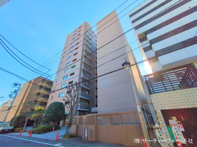 撮影日(2025-02-05 00:00:00)