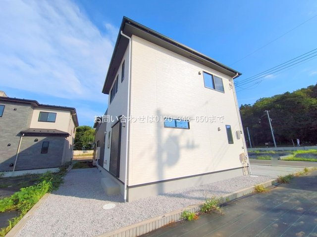 撮影日(2025-06-27 00:00:00)
