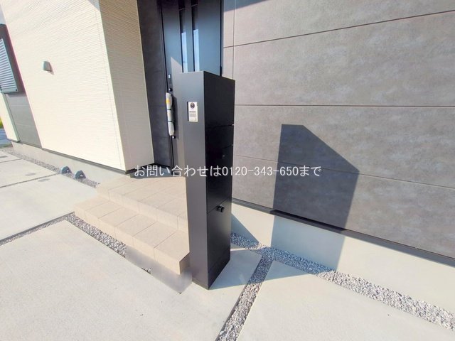 撮影日(2025-06-27 00:00:00)