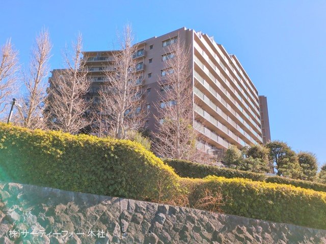 撮影日(2025-02-13 00:00:00)