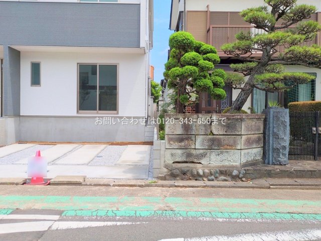 撮影日(2025-07-02 00:00:00)