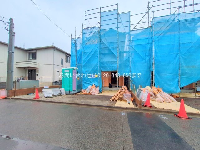 撮影日(2025-06-03 00:00:00)