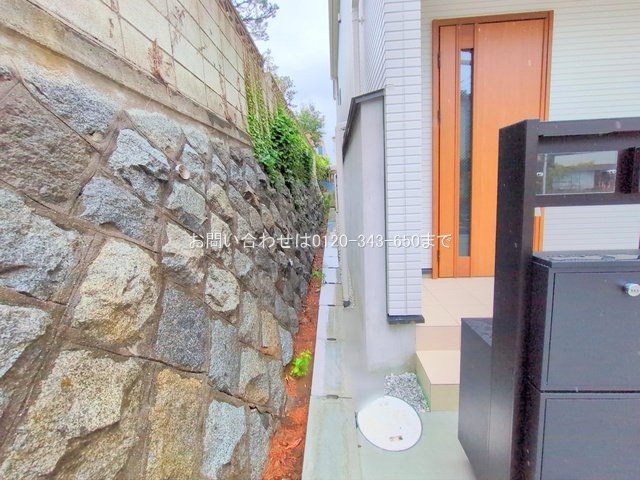 撮影日(2025-06-25 00:00:00)