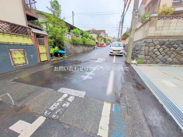 撮影日(2025-06-25 00:00:00)