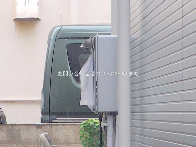 撮影日(2025-06-25 00:00:00)