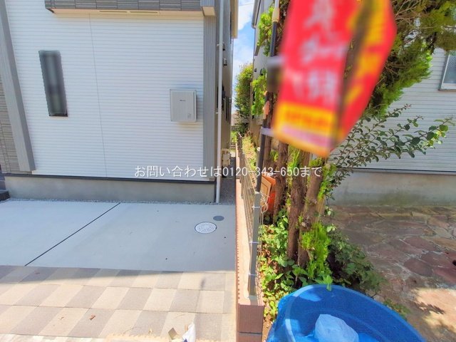 撮影日(2025-06-23 00:00:00)