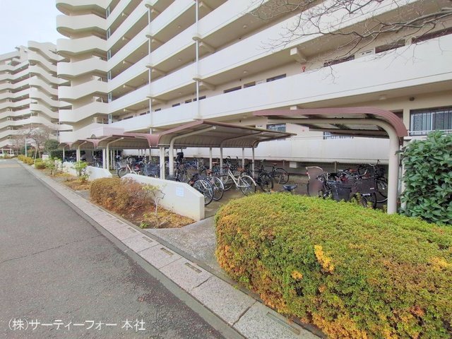 撮影日(2025-03-06 00:00:00)