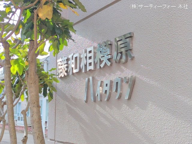 撮影日(2024-12-20 00:00:00)