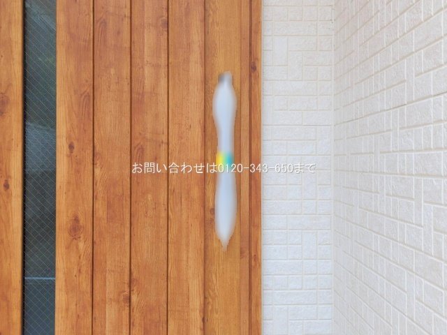 撮影日(2025-06-25 00:00:00)