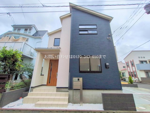 撮影日(2025-06-25 00:00:00)