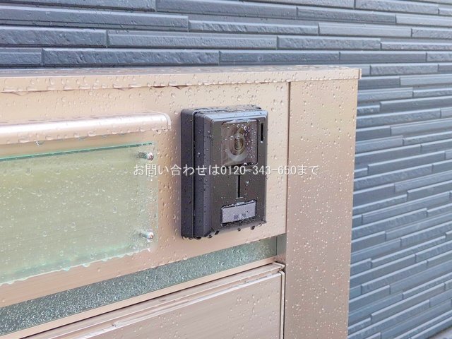 撮影日(2025-06-25 00:00:00)