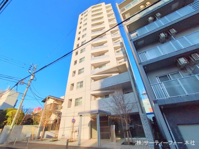 撮影日(2025-03-13 00:00:00)